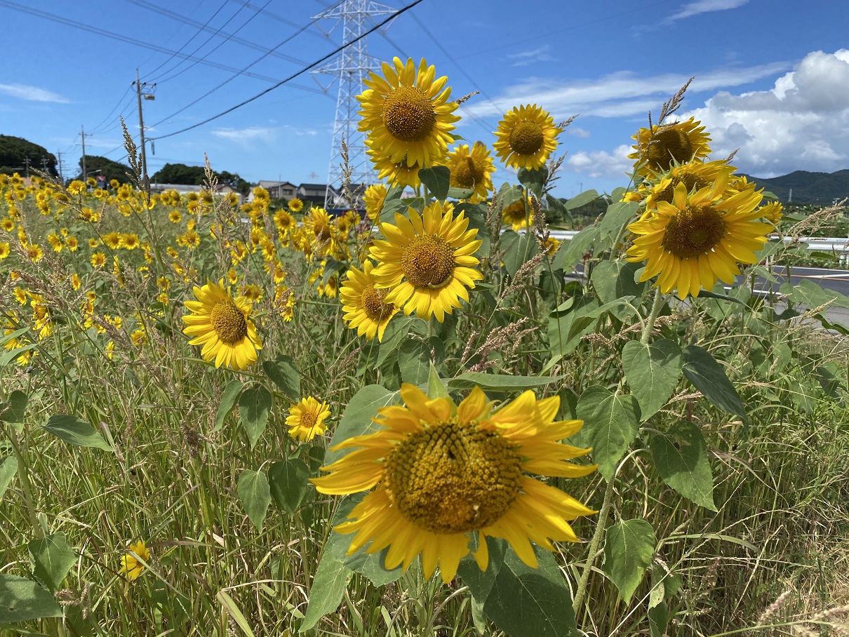 業務再開 写真